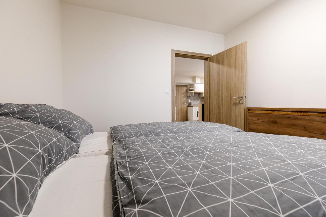 Apartmán NESS Boží Dar Exteriér fotografie