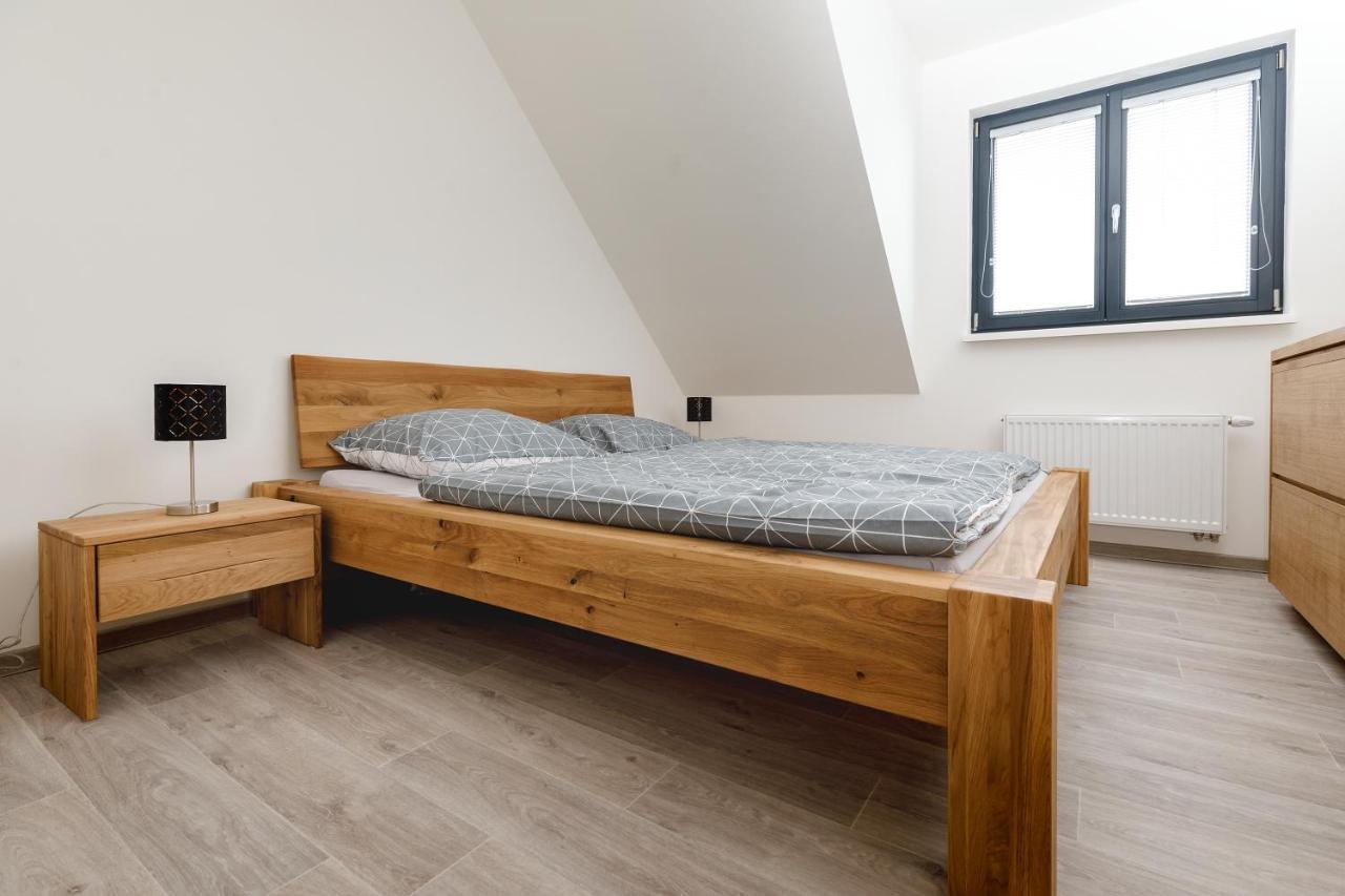 Apartmán NESS Boží Dar Exteriér fotografie
